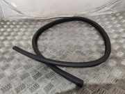 Türgummi links vorne Mercedes-Benz E-Klasse Coupe (C207) A2076920376