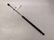 Heckklappendämpfer links Peugeot 206 SW (2E/K) F360N