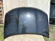 Motorhaube JEEP COMPASS (MK49) 2.2 CRD 4x4 1811220