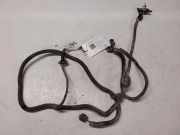 Kabelbaum Hinteren Parksensoren OPEL SIGNUM 2.2 direct 24438408