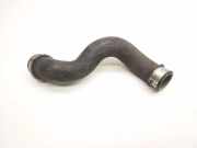 Wasserkühlerschlauch rechts