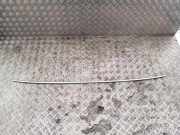 Dachleiste links SEAT EXEO ST (3R5) 2.0 TDI