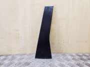 Türpolsterverkleidung hinten links VW PASSAT B7 (362) 2.0 TDI 3C9839904B