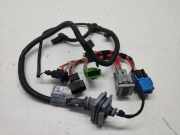 Kabelbaum BMW 1 Coupe (E82) 118 d 7804974
