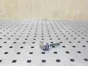 Temperatursensor AUDI TT (8J3) 2.0 TFSI 4B0820539