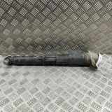 Stoßdämpfer hinten links SKODA ENYAQ iV SUV (5AC, 5AZ) 80X 4x4 1EA512013BF