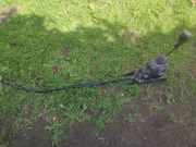 Schalthebel Renault Espace IV (K) 206933