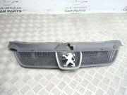 Vorderer oberer Gitter PEUGEOT 407 (6D_) 1.6 HDi 110 9631250277