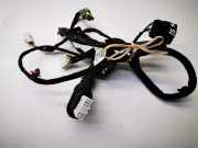 Türverkabelung hinten links KIA SPORTAGE (SL) 1.7 CRDi 91650-3u020 11127-040