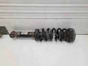 Stoßdämpfer hinten rechts BMW X3 (F25) xDrive 20 d 6796317 33526796317