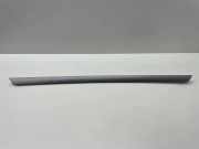 Türpolsterverkleidung hinten links VW JETTA III (1K2) 1.9 TDI 1K4867449