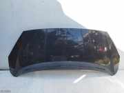 Motorhaube Peugeot 1007 ()