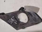 Gitter vorne unten PEUGEOT 207 CC (WD_) 1.6 HDi 9688091977