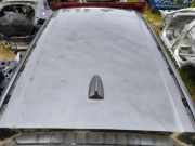 Dach BMW X5 (E70) xDrive 30 d