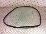 Türdichtung Lexus NX 1 ()