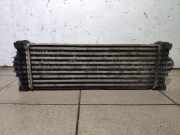 Ladeluftkühler Ford Transit V363 Pritsche/Fahrgestell (FED, FFD) GK216K775AE