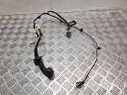 Kabel der vorderen linken Tür RENAULT TWINGO II (CN0_) 1.2 16V (CN04, CN0A, CN0B)