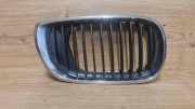 Gitter Grill vorne rechts BMW 3 (E46) 316 i 511370721309