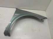 Kotflügel vorne rechts RENAULT MEGANE II Estate (KM0/1_) 1.5 dCi (KM16, KM1E)