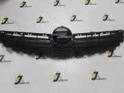 Ziergitter Opel Vectra C (Z02) 13214110