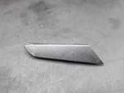 Türpolsterverkleidung hinten rechts VW PASSAT B7 (362) 2.0 TDI 3AA867371