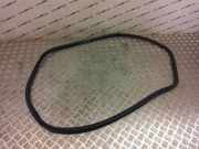 Türgummi links vorne Fiat 500X (334)