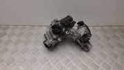 Drosselklappe RENAULT KADJAR (HA_, HL_) 1.5 dCi 110 161A09287R