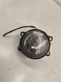 Nebelscheinwerfer links RENAULT MEGANE III Hatchback (BZ0_) 1.9 dCi (BZ0N, BZ0J) 89202503 8200074008