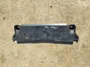 Anderes Undercover Panel VW TIGUAN (AD1) 2.0 TSI 4motion 5Q0825230J