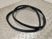 Türdichtung Peugeot 3008 I ()