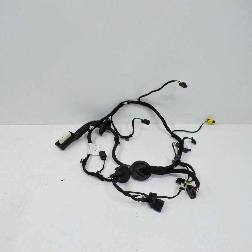 Kabel der vorderen linken Tür AUDI A8 D4 (4H_) 3.0 TFSI quattro 4H0971029NC Bild Kabel der vorderen linken Tür AUDI A8 D4 (4H_) 3.0 TFSI quattro 4H0971029NC