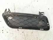 Gitter vorne unten BMW X3 (F25) xDrive 20 d 7249595