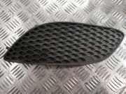 Gitter vorne unten OPEL INSIGNIA A (G09) 2.0 CDTI (68) 13247320