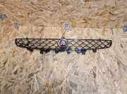 Kühlergrill oben Jaguar F-Type Coupe (QQ6) EX538138C