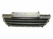 Gitter vorne unten HYUNDAI i20 (PB, PBT) 1.1 CRDi 865611J500