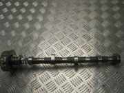 Sensor für Nockenwellenposition Toyota Avensis Station Wagon (T27) M1439953