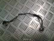 Einspritzleiste Land Rover Range Rover Sport (L320)