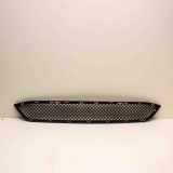 Kühlergrill unten BMW X1 (E84) 7303753