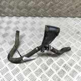 Schlauch Kühlung VOLVO V90 II T8 Plug-in Hybrid AWD 31338712