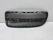 Gitter vorne unten VW TOUAREG (7LA, 7L6, 7L7) 2.5 R5 TDI 7L6853665A