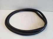 Türdichtungsgummi vorne links