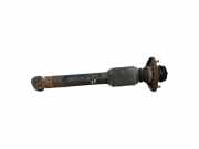 Stoßdämpfer hinten links BMW X5 (E53) 3.0 d