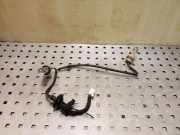 Rücklichtkontakte NISSAN X-TRAIL (T31) 2.0 dCi