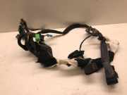 Kabel der vorderen linken Tür VOLVO S80 II (AS) D5 AWD 30773652