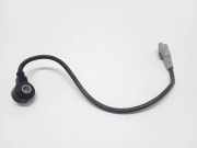 Klopfsensor LAND ROVER RANGE ROVER SPORT (L320) 2.7 D 4x4 4R8Q12A699AB