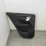 Türpolster hinten links