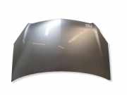 Motorhaube OPEL ZAFIRA B (A05) 1.7 CDTI