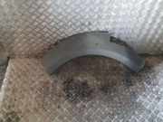 Schutzleiste Kotflügel Dodge Nitro ()