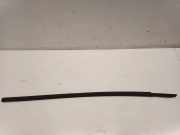 Zier-/Schutzleiste für Türscheibe Audi Q2 (GA)