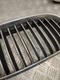 Vorderer oberer Gitter BMW 5 (F10) 520 d 18801310